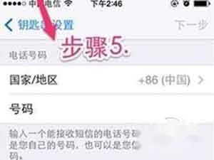 输入一个电话号码