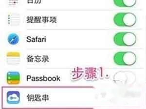 进入设置→iCloud选项→钥匙串