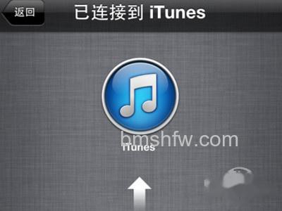 打开iTunes在侧边栏选择您的设备