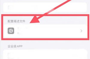 iPhone15描述文件