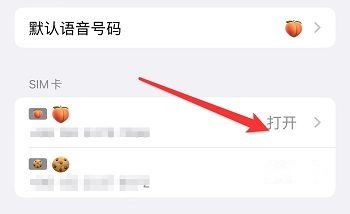 苹果15选择SIM卡