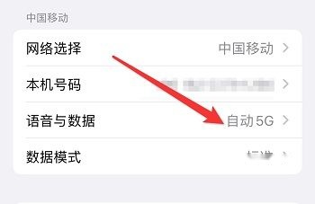 苹果15语音与数据设置