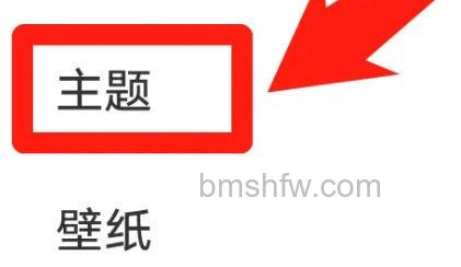 iQOO 11 Pro主题选项