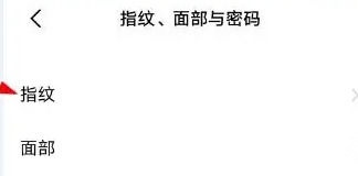 iQOO 11 Pro指纹、面部与密码