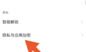 iQOO隐私与应用加密