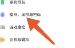 iQOO指纹面部与密码