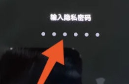 iQOO输入密码