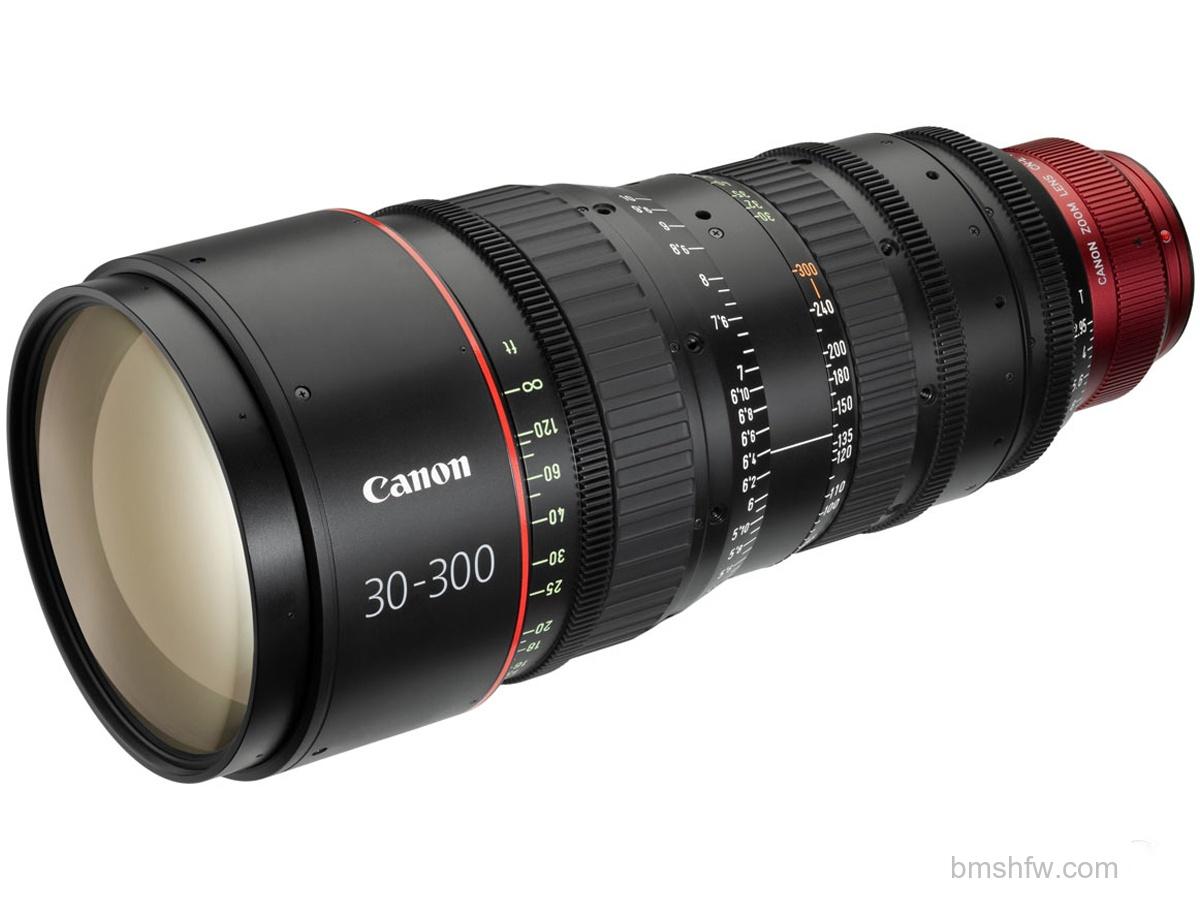 佳能30-300mm T2.95-3.7 L S(SP)