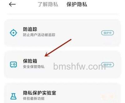 保险箱选项