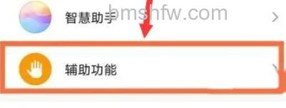 辅助功能入口