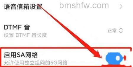 启用SA网络开关