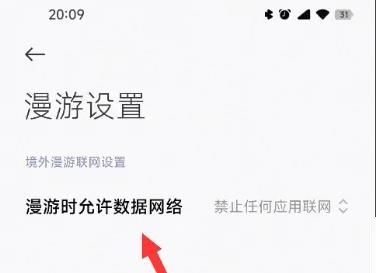 漫游时允许数据网络