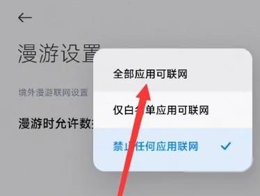全部应用可联网