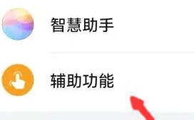 辅助功能