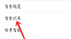 智慧视觉