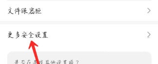更多安全设置