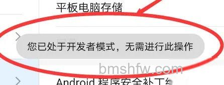 开发人员模式