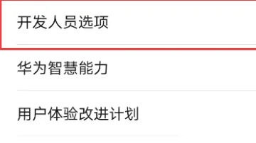 开发人员选项