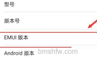 系统版本点击