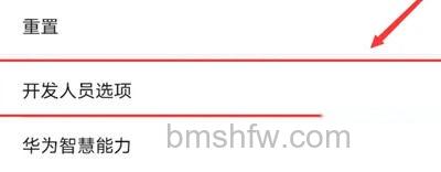 开发人员选项