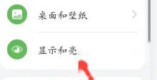 显示和亮度