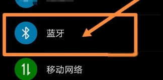 蓝牙入口