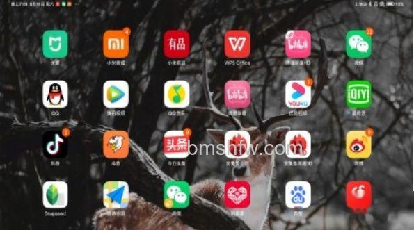 小米平板5如何修改图标大小？修改图标大小方法【步骤】
