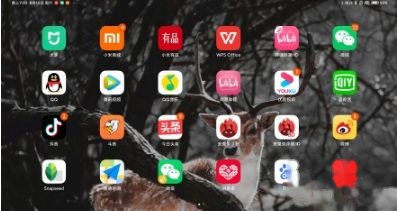 小米平板5图标如何变大？图标变大方法【教程】
