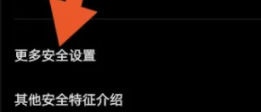 更多安全设置入口