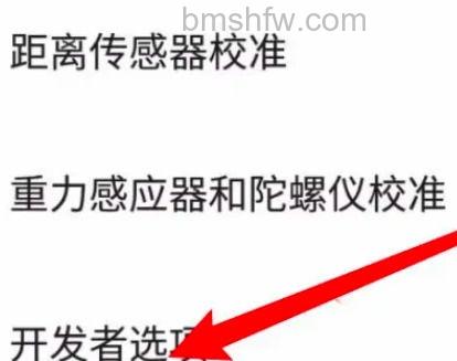 进入开发者选项