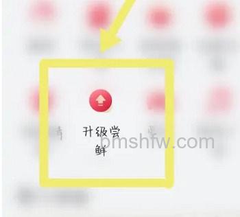 找到升级尝鲜