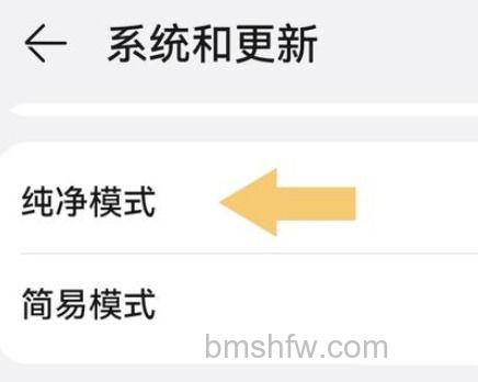 纯净模式