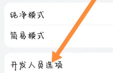 开发人员选项