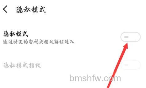 开启隐私模式