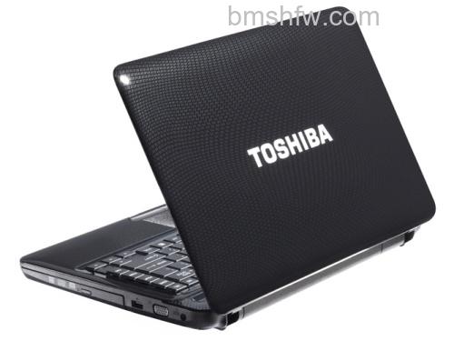 东芝L600-01B 东芝L600-01B