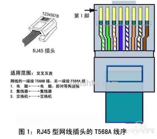 T568A T568A