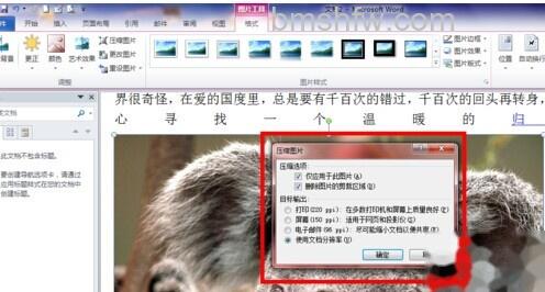 Word2010如何压缩图片5 Word2010如何压缩图片5