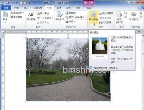 Word2010怎样添加图片题注1 Word2010怎样添加图片题注1