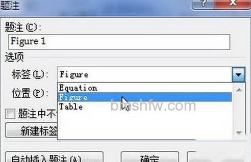 Word2010怎样添加图片题注4 Word2010怎样添加图片题注4