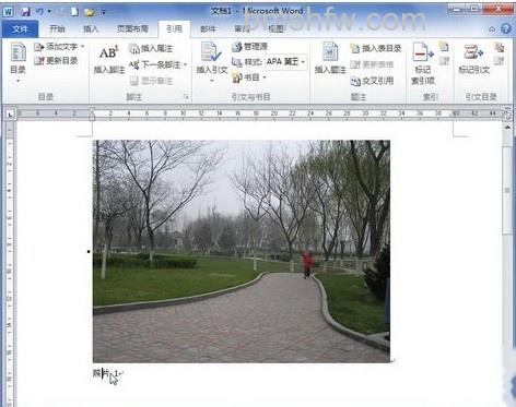 Word2010怎样添加图片题注5 Word2010怎样添加图片题注5