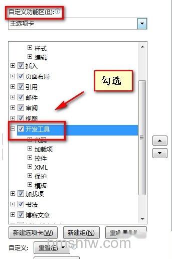 Word2010如何显示开发工具选项卡3