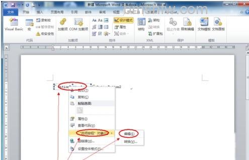 Word2010如何插入单选框6 Word2010如何插入单选框6