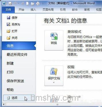 Word2010设文字置了哪些格式2 Word2010设文字置了哪些格式2
