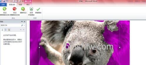 Word2010如何去除图片背景 Word2010如何去除图片背景