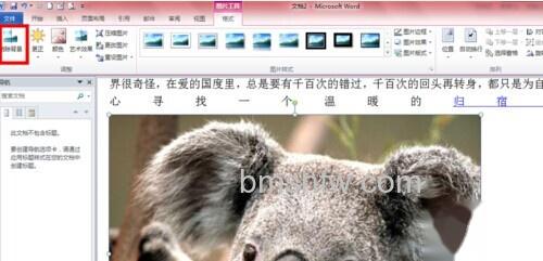 Word2010如何去除图片背景 Word2010如何去除图片背景