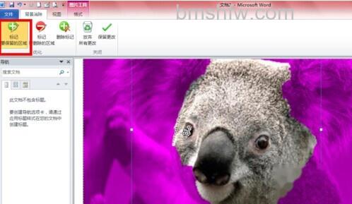 Word2010如何去除图片背景 Word2010如何去除图片背景