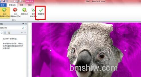 Word2010如何去除图片背景 Word2010如何去除图片背景