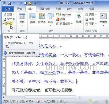 Word2010如何插入分页符6