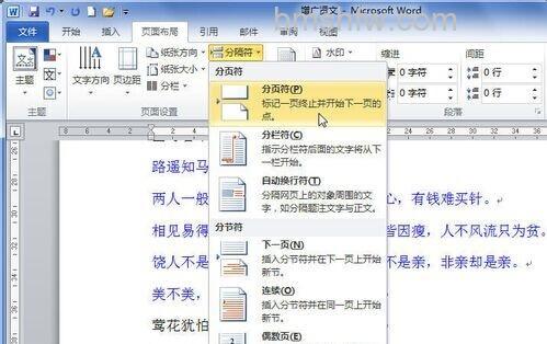 Word2010如何插入分页符4