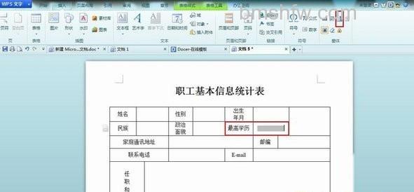 如何利用Word规范化填写表格2 如何利用Word规范化填写表格2